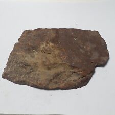 336g NWA natural Unclassified meteorite section slice C2610 picture