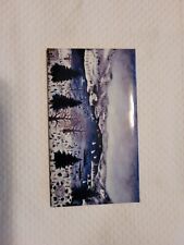 Winter Carnival Cooperstown NY Magnet Used picture