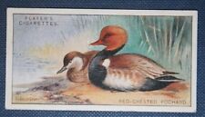RED-CRESTED POCHARD  Pair   Vintage Colour Card  WC30 picture