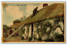 1956 Using Ladder For Roof The Thatcher Ireland Posted Vintage Postcard picture