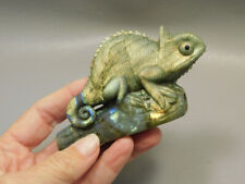 Chameleon Lizard Figurine Labradorite  Stone Animal Carving #O214 picture