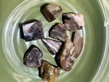 assorted rocks agatized opalized petrified wood chalcedony agates rocks 1lb 4oz picture