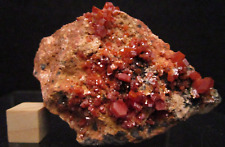 High Grade Vanadinite Crystals Mibladen Midelt Khenifra Province Morocco picture