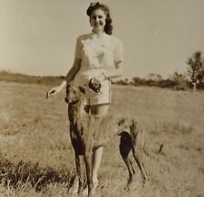 1940s Vtg Photo Pretty Girl W/ Greyhound Dog Old Florida Racing Kennel Club picture