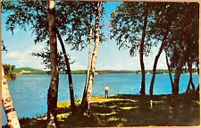 Brainerd Minnesota Lum Park Man at Mississippi River View Vintage Postcard c1950 picture