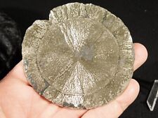 Larger Pyrite SUN or Pyrite DISC Crystal 100% Natural From Illinois 137gr picture