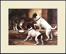SMOOTH FOX JACK RUSSELL TERRIER DOGS AND CAT DOG PRINT MOUNTED READY TO FRAME picture
