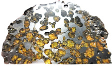 Brenham 118.75g *THICK* Partial Slice, Etched (1) Side, Sealed, Pallasite PMG-an picture
