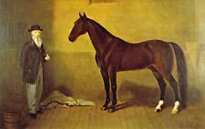 Famed Stallion Standardbred Hambletonian 10 & Owner Rysdyk Mint postcard A59 picture