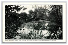 Cedar Falls IA Iowa North Arm, Second Slough, Unposted White Border Postcard picture