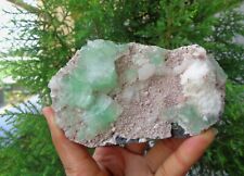 Green Apophyllite Crystal w/ Mordonite On Matrix Minerals Specimen #F6 picture