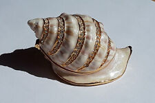 Vintage Hinged Trinket Box ~Crystal Enameled Metal Conch Shell~ beach seashore picture