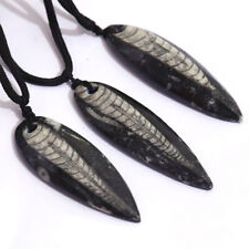Natural Fossil Orthoceras Morocco Pendant Necklace with Black Braided Rope Chain picture