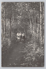 Pine Tree Camp Pocono Pines Pennsylvania c1910 Antique Postcard picture