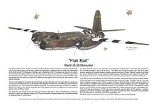 B-25 & B-26, Aviation Art Prints, Ernie Boyette picture