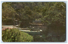 San Blas Nayarit Mexico Postcard Tropical Jungle Tour Paseo La Tovara c1950's picture