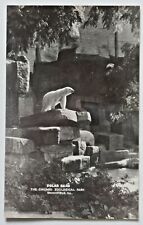 Polar Bear The Chicago Zoological Park, Brookfield, Illinois RPPC Unused 3581 picture