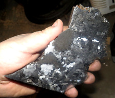 BEAUTIFUL 344 GM CAMPO DEL CIELO ETCHED METEORITE SLAB picture