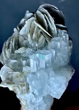 430 Carat Aquamarine Crystal Bunch From Nagar Valley Pakistan picture