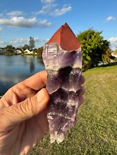 TOP 1% AAA Auralite 23 Crystal Double Red Cap from Canada 451 grams 7