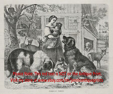Dog Newfoundland Family, Landseer & Brown, Puppies & Deer, 1880s Antique Print picture