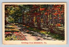 Heshbon PA, Scenic Greetings, Woods, Pennsylvania, Vintage Postcard picture
