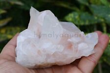 White with Pink natural pointer rough stone 460 gm Meditation Minerals Specimen picture