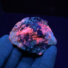 Greenland Tugtupite, SodaliteAnalcime, Chkalovite. RARE Fluorescent Mineral picture