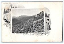 1909 Homes Photo Artist Chocorua Sandwich Range NH Posted Vintage Postcard picture