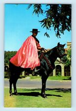 Red Raider Texas Tech Mascot Lubbock Texas Technological College Postcard C4 picture