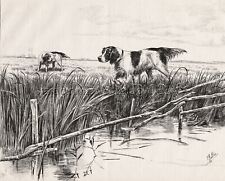 DOG French Spaniels Hunting Water Fowl Print & Article, Rare Breed ID'd picture