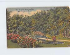 Postcard An Exotic Array of Palms and Flowers in Florida USA picture