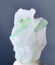 35 Carat Tourmaline crystals On Quartz Specimen From Afghanistan picture
