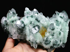 2.66 lb New Find Green/Yellow Phantom Quartz Crystal Cluster Mineral Specimen picture