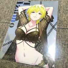 Chained Soldier Tenka Izumo Clear File Set picture