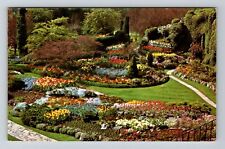 Victoria BC-British Columbia Buchart Gardens Sunken Gardens Vintage Postcard picture