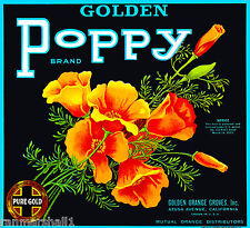 Azusa Los Angeles Golden Poppy Flowers Orange Citrus Fruit Crate Label Art Print picture
