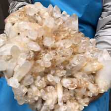 24.64LB Natural clear quartz white crystal clusterd speciman healing decor picture