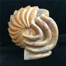 18.6 lb Rare large multi - tentacle conch fossils Specimen #A1 picture