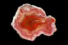 Laguna Agate From Mexico Collectors Grade Tight Banding Parallax and High Contr picture