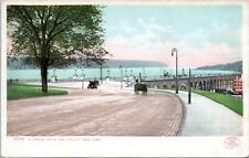 1905 Riverside Drive and Viaduct Detroit Photographic 9546 NYC Postcard DI picture