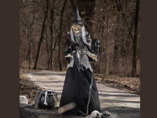 Animated  Lunging Haggard Witch Prop Haunted House Halloween Animatronic Crone picture