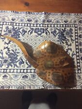 Hand made Stingray from Caymen Islands pre-owned picture
