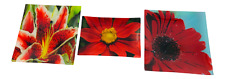 Vintage Prima Donna Red Flower Plates, Set of 3 picture