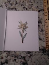 REAL Edelweiss Pressed Flower Greeting Card Alps WWII Gift Germany Alps Swiss picture