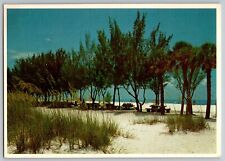Manatee County, Florida FL - Sea Oats and Shade Trees - Vintage Postcard 4x6 picture