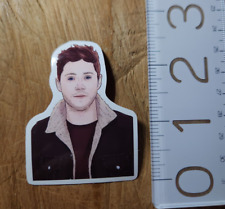 NIALL HORAN Sticker ONE DIRECTION STICKER One Direction Decal Pop Music picture