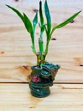 Live Lucky Bamboo 4”4”6” Year of the Dragon Ceramic Vase picture