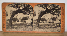 Rare Farm Workers Old Slave Quarters Fort George Island FL Stereoview Card Photo picture