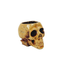 Ashtray Skull Plaster Vintage Collectible Decorative Gift Smoking Accessories picture